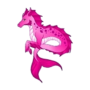 Rose Hippocamp